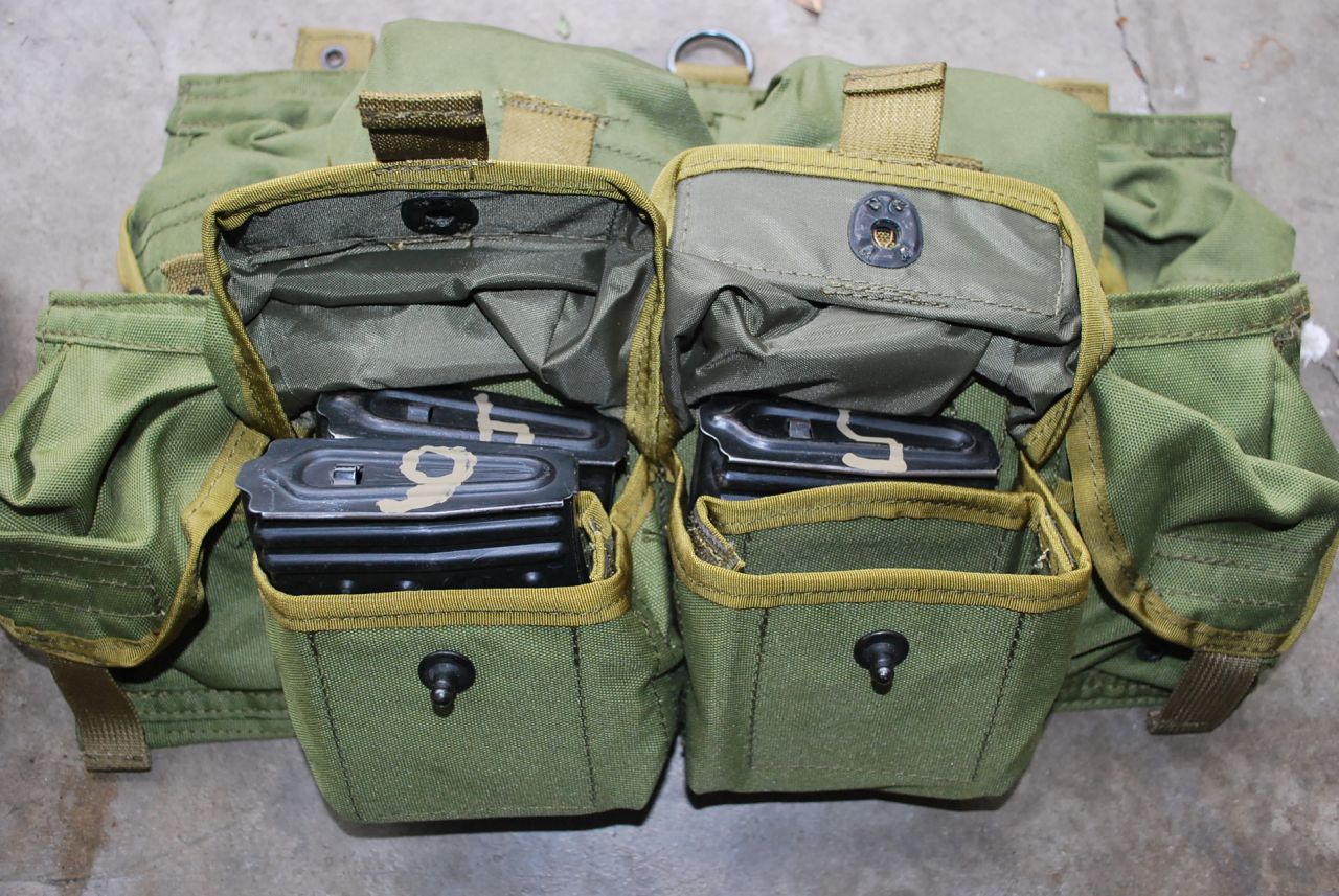 Best vest/carrier for 10rnd mags? > Optics & Accessories > AR15.COM